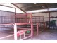 43 Forrest Hill Road, Katanning WA 6317
