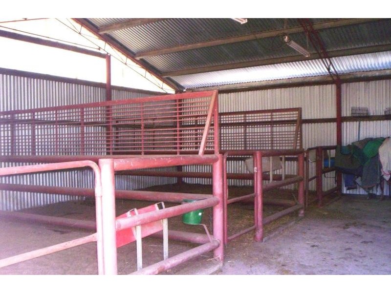 43 Forrest Hill Road, Katanning WA 6317