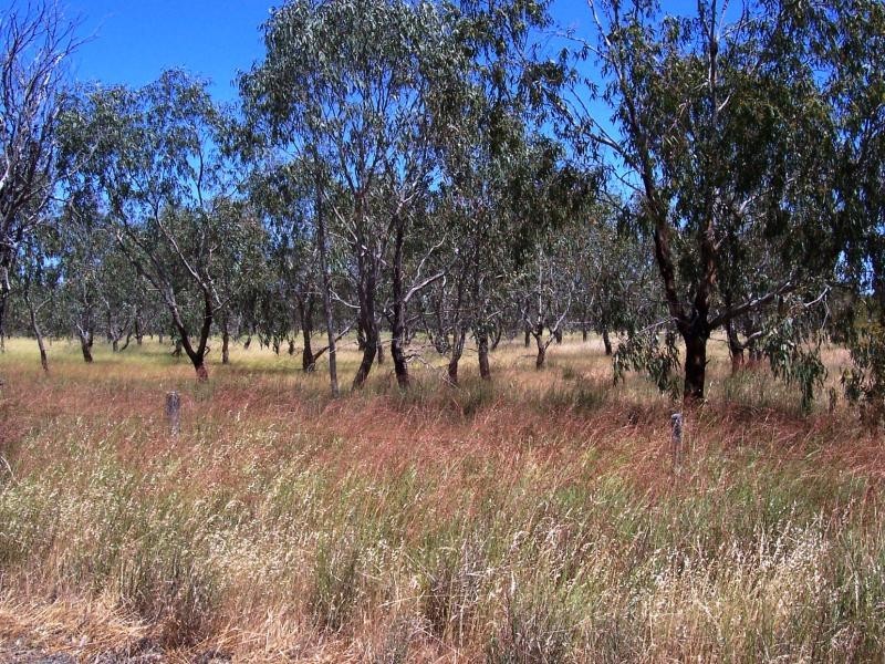 Lot 22/ Great Southern Highway, Broomehill WA 6318