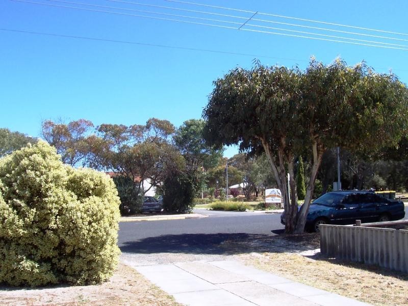 6 Carinya Gardens, Katanning WA 6317