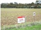 175 Bell Road, Woodanilling WA 6316