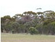 175 Bell Road, Woodanilling WA 6316