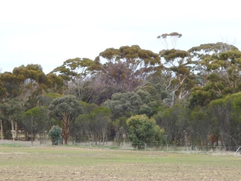 175 Bell Road, Woodanilling WA 6316
