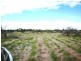 Lot 5651/ Police Pools Road, Katanning WA 6317