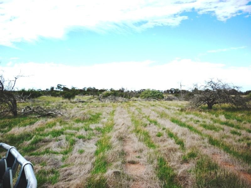 Lot 5651/ Police Pools Road, Katanning WA 6317