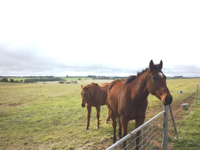 Lot 141/ Mcdonald Road, Woodanilling WA 6316