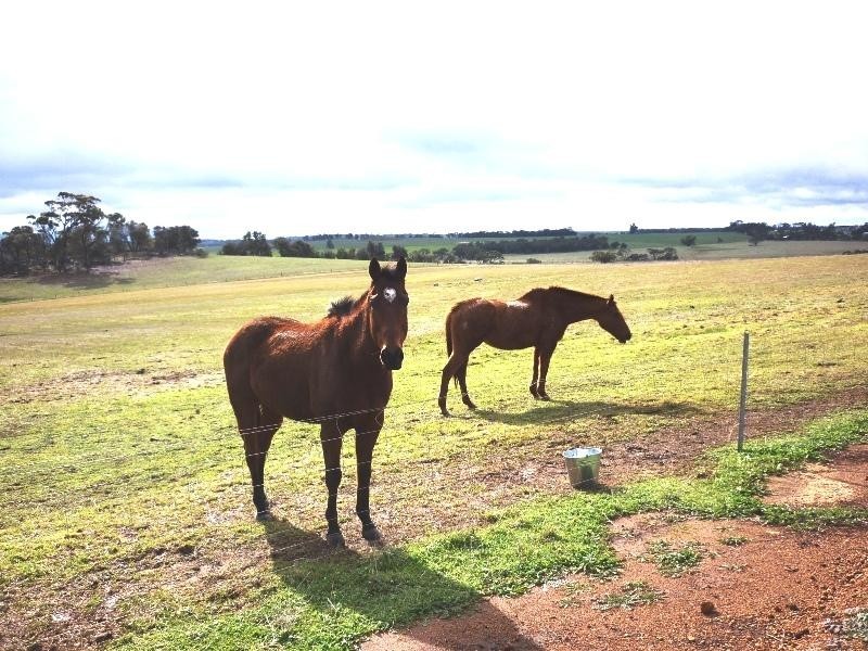 Lot 141/ Mcdonald Road, Woodanilling WA 6316