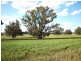Lot 3739/ Etna Road, Broomehill West WA 6318