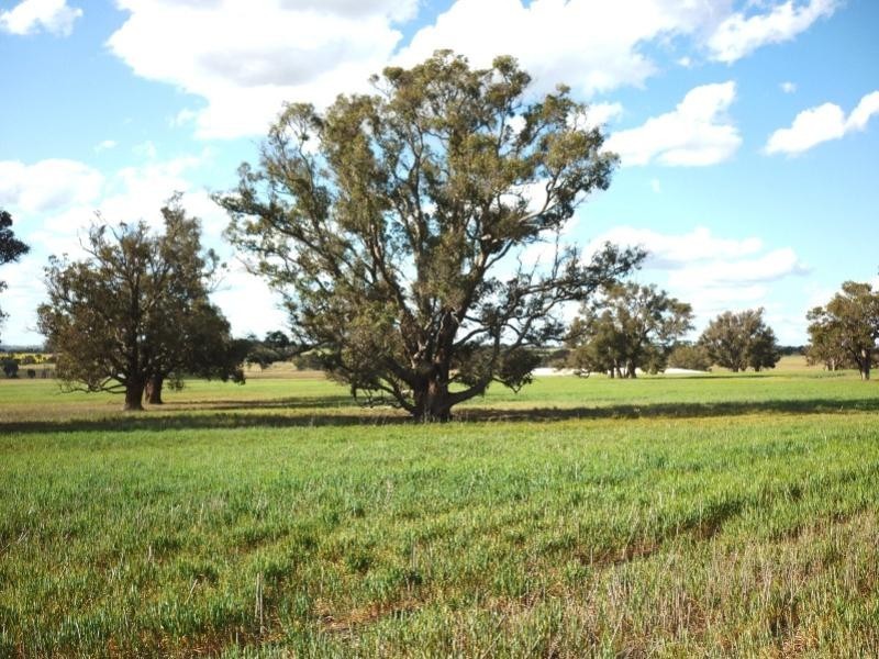 Lot 3739/ Etna Road, Broomehill West WA 6318