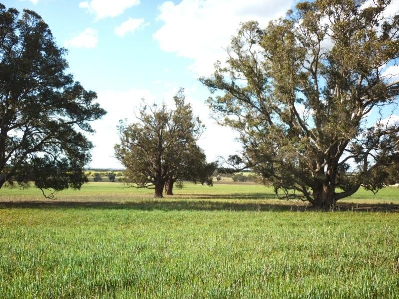 Lot 3739/ Etna Road, Broomehill West WA 6318