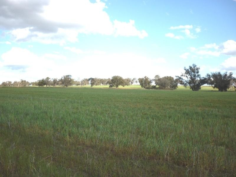 Lot 3739/ Etna Road, Broomehill West WA 6318