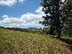 LOT 2 WIRTH ROAD, Laceys Creek QLD 4521