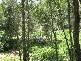 LOT 2 WIRTH ROAD, Laceys Creek QLD 4521