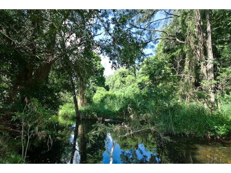 53 Westwood Drive, Samford QLD 4520