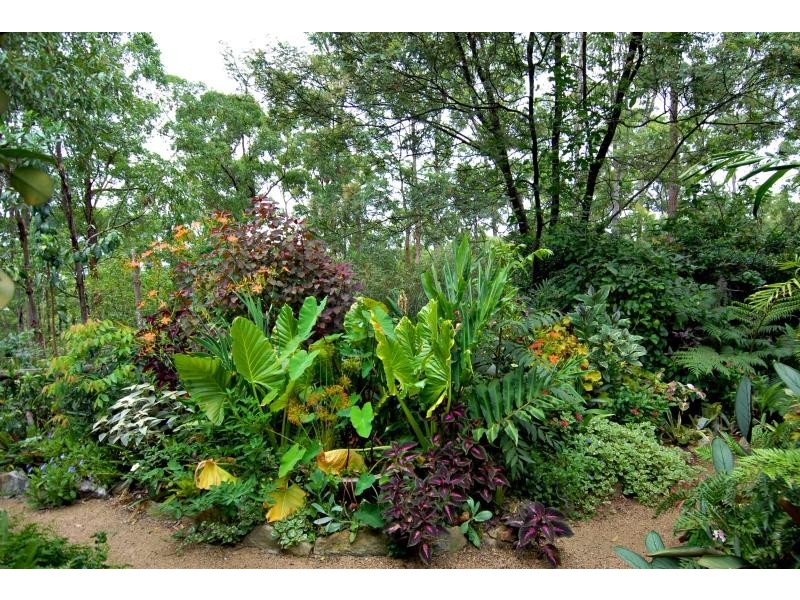 21 Retreat Court, Bunya QLD 4055