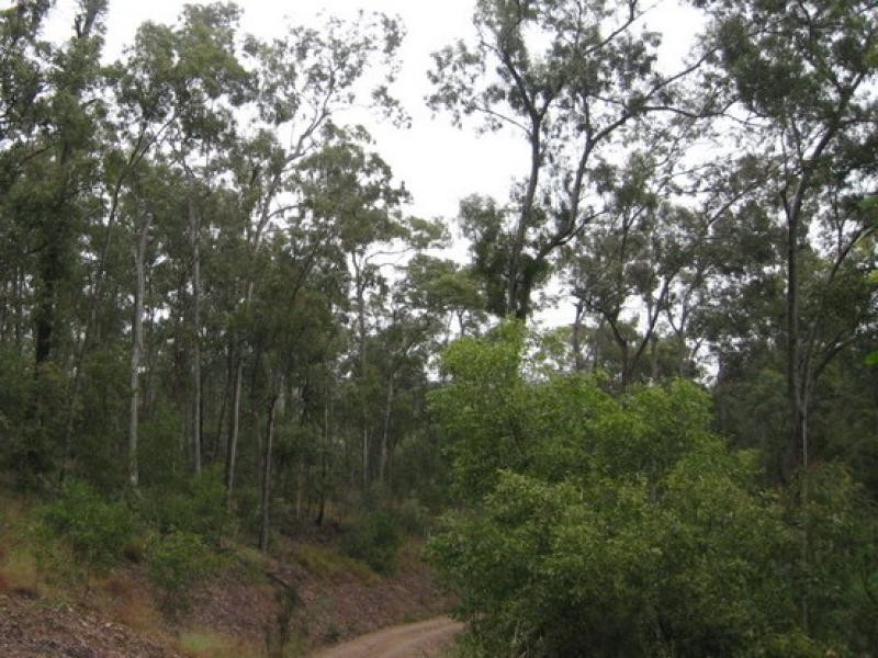 Draper QLD 4520