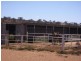 225 Racecourse Road, Broken Hill NSW 2880