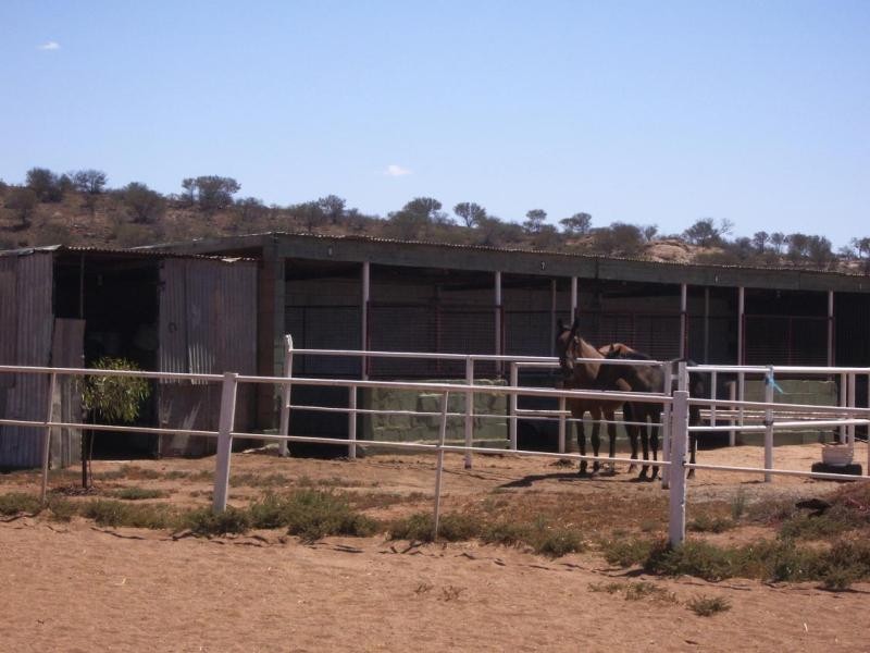 225 Racecourse Road, Broken Hill NSW 2880