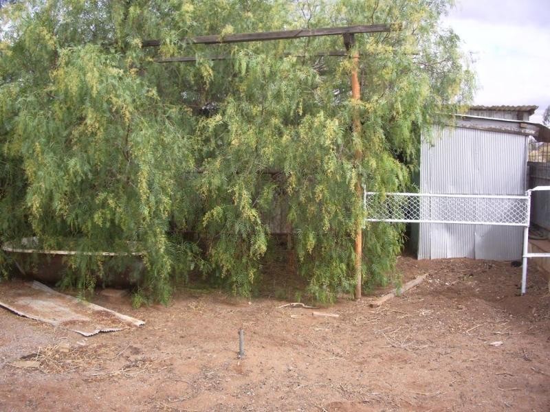 418 Piper Street,, Broken Hill NSW 2880