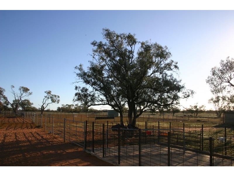 Wilcannia NSW 2836