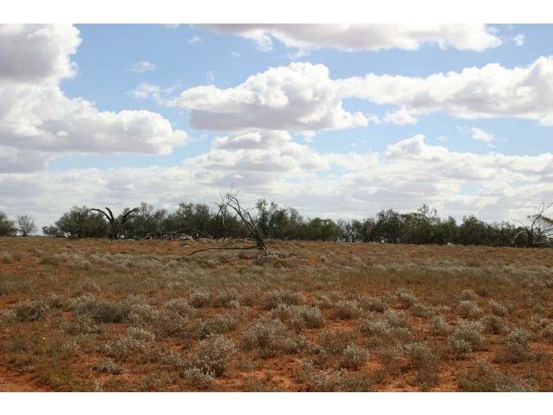 Wilcannia NSW 2836