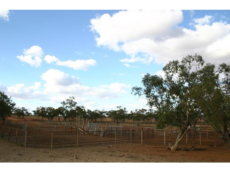 Wilcannia NSW 2836