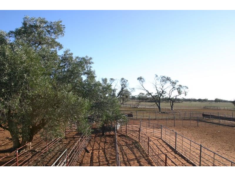 Wilcannia NSW 2836