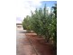 97 Jamieson Street, Broken Hill NSW 2880