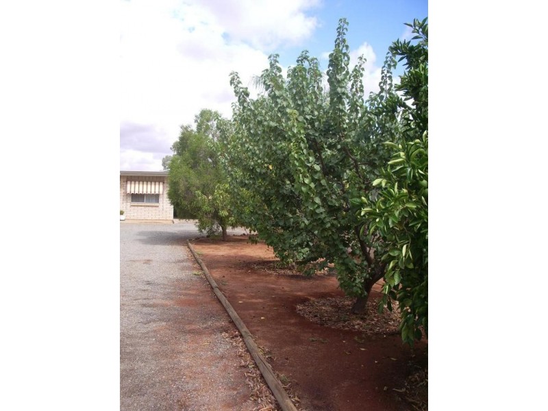 97 Jamieson Street, Broken Hill NSW 2880