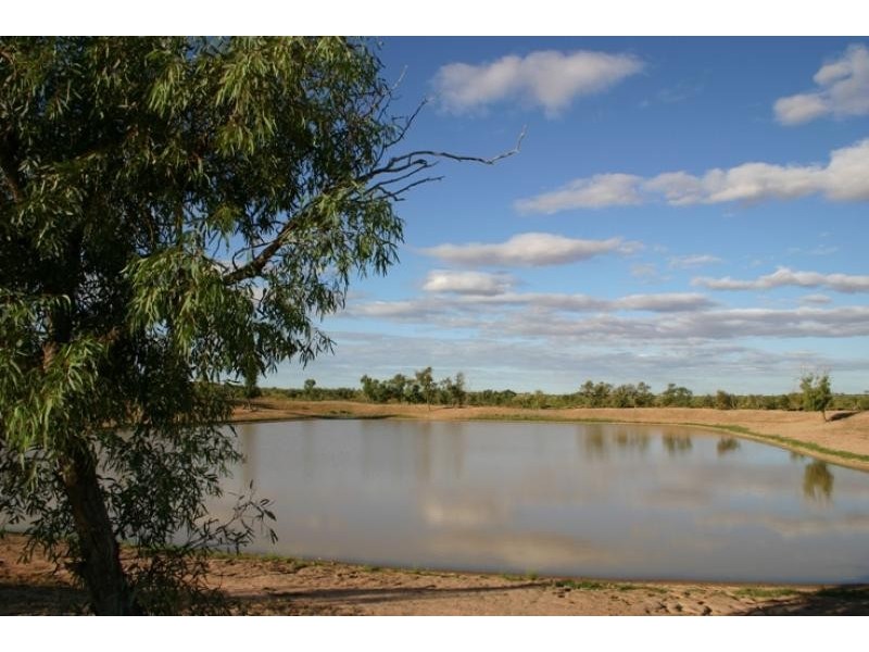 Quinyambie Station,160 km north west, Broken Hill NSW 2880