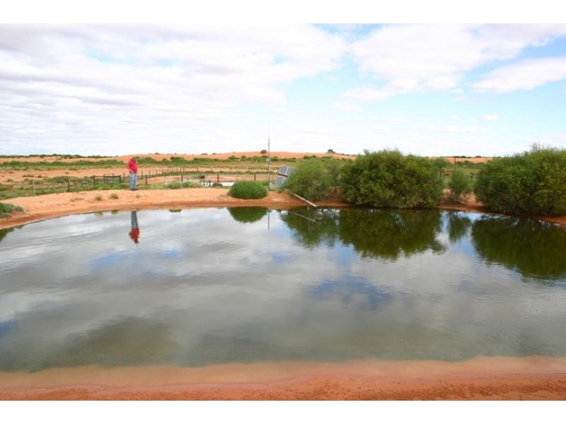 Quinyambie Station,160 km north west, Broken Hill NSW 2880