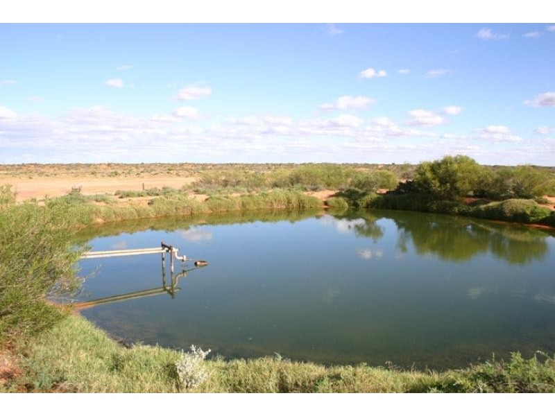 Quinyambie Station,160 km north west, Broken Hill NSW 2880