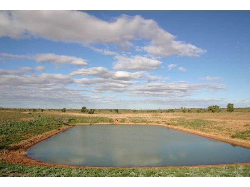 Quinyambie Station,160 km north west, Broken Hill NSW 2880