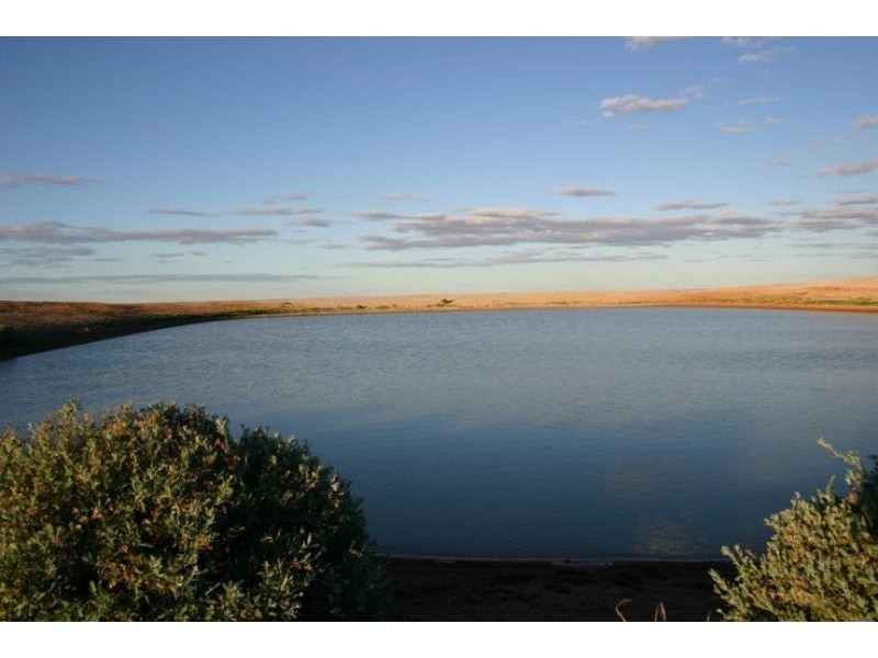 Quinyambie Station,160 km north west, Broken Hill NSW 2880