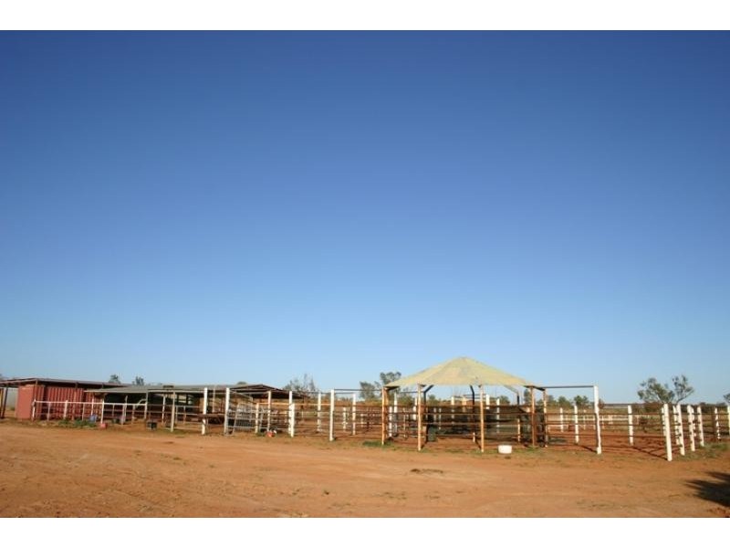 Quinyambie Station,160 km north west, Broken Hill NSW 2880