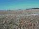 ANNUELLO ROAD, Robinvale VIC 3549
