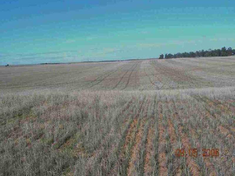 ANNUELLO ROAD, Robinvale VIC 3549