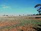 ANNUELLO ROAD, Robinvale VIC 3549