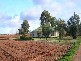4E SATELBERG ROAD, Robinvale VIC 3549