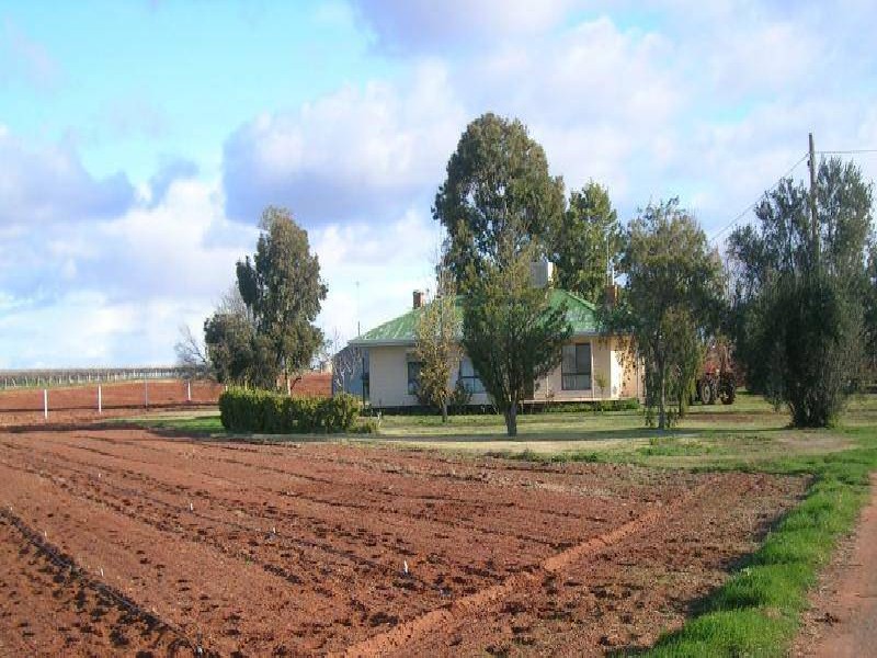 4E SATELBERG ROAD, Robinvale VIC 3549