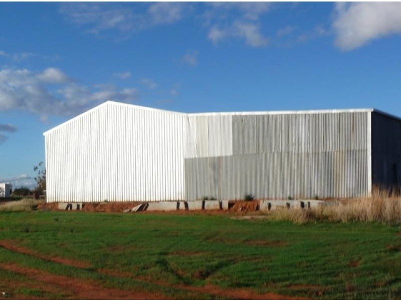 384 Wewak Road, Robinvale VIC 3549