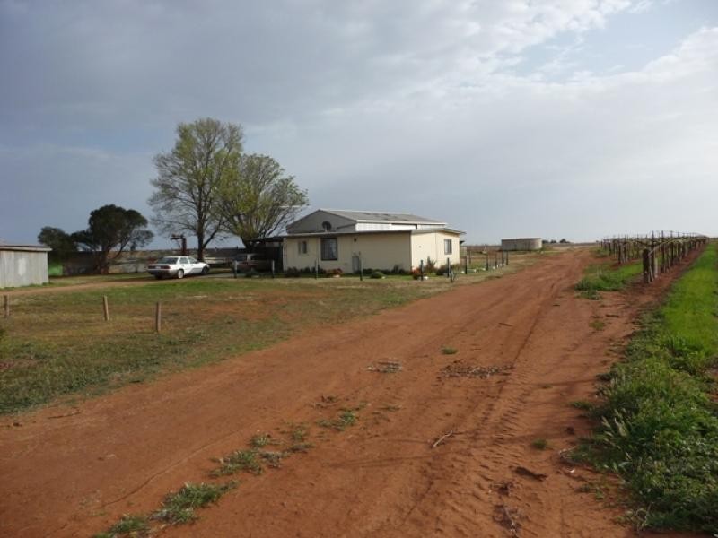 Lot 1/ 37 E, Shaggy Ridge Road, Robinvale VIC 3549