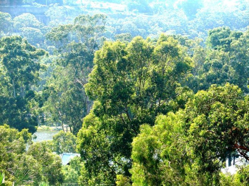 Woronora NSW 2232