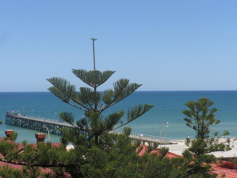 Unit 10/576 Seaview Rd, Grange SA 5022