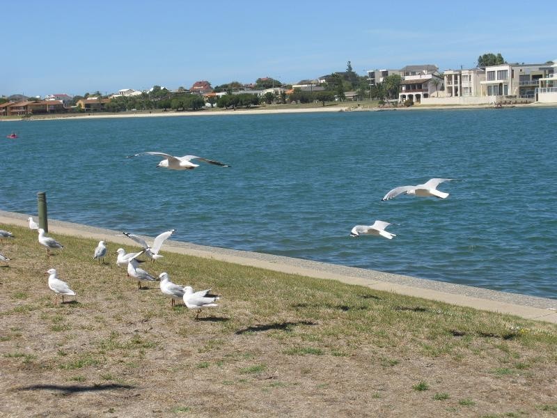 85 Brebner Drive, West Lakes SA 5021