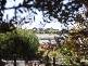 24 SHORELINE DRIVE, Clayton SA 5256