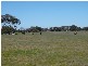MILANG-FINNISS ROAD, Milang SA 5256