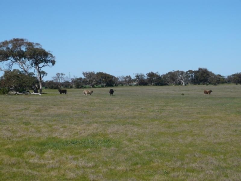 MILANG-FINNISS ROAD, Milang SA 5256