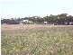 MILANG-FINNISS ROAD, Milang SA 5256