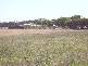 MILANG-FINNISS ROAD, Milang SA 5256